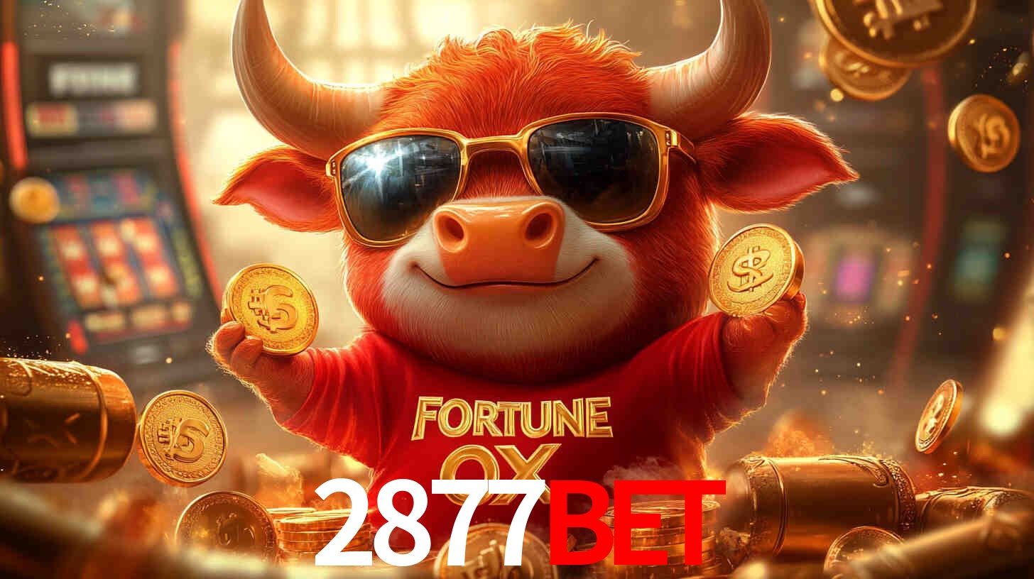 2877bet.com